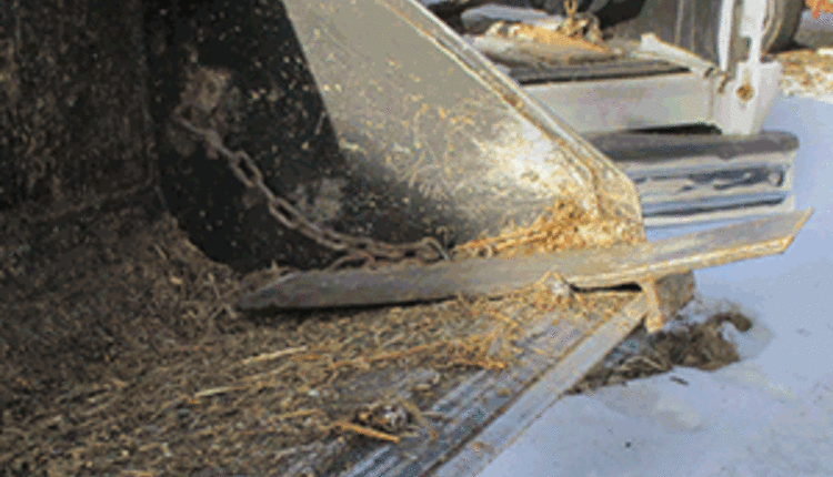 adapted loader bucket to move trees and brush
