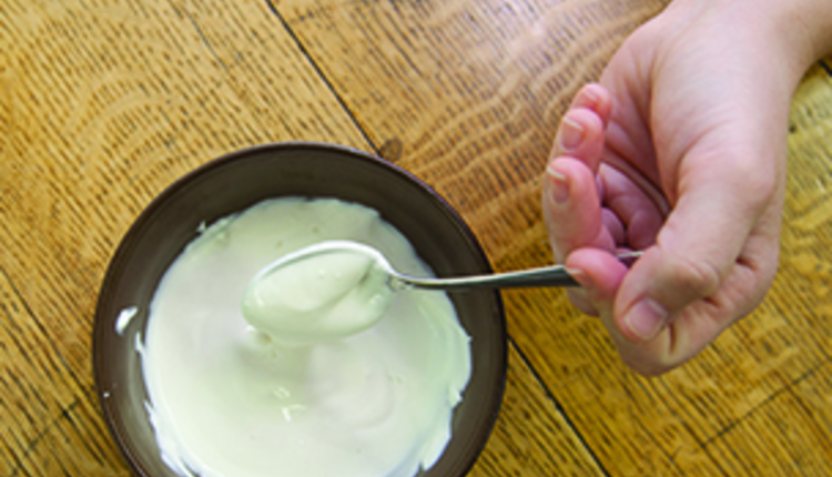 yogurt