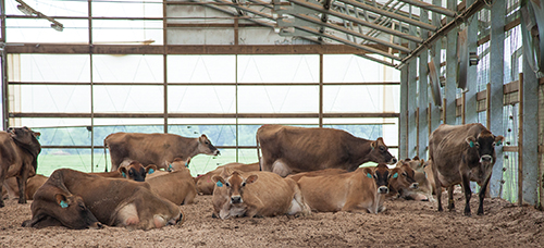 pack barn