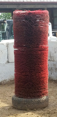 portable cow scratcher