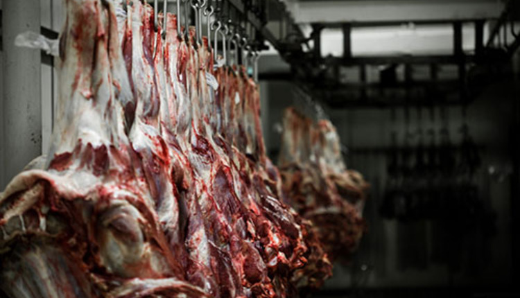 Meat packing plant