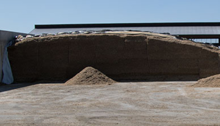 silage bunker