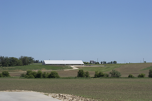 Dairy farm landscape
