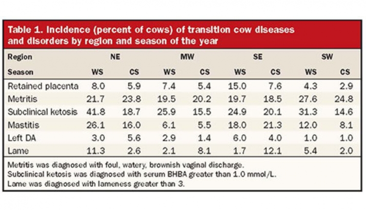 incidence of transition cow diseases