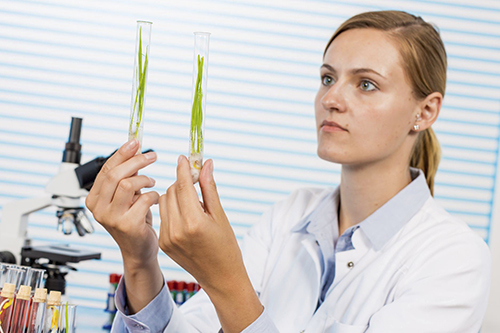 scientist with crops