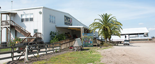Dakin store