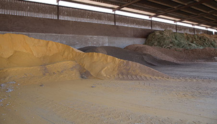 feed in commodity barn feed in commodity barn