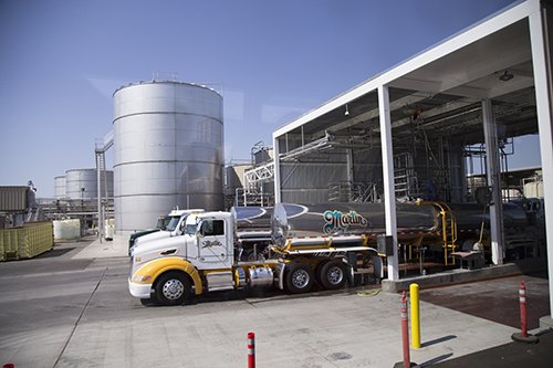 milk processing plant