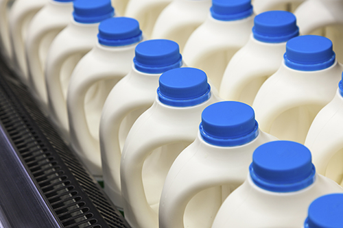 dairy products