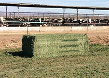 bale marker photo