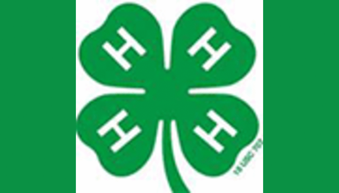 4-H