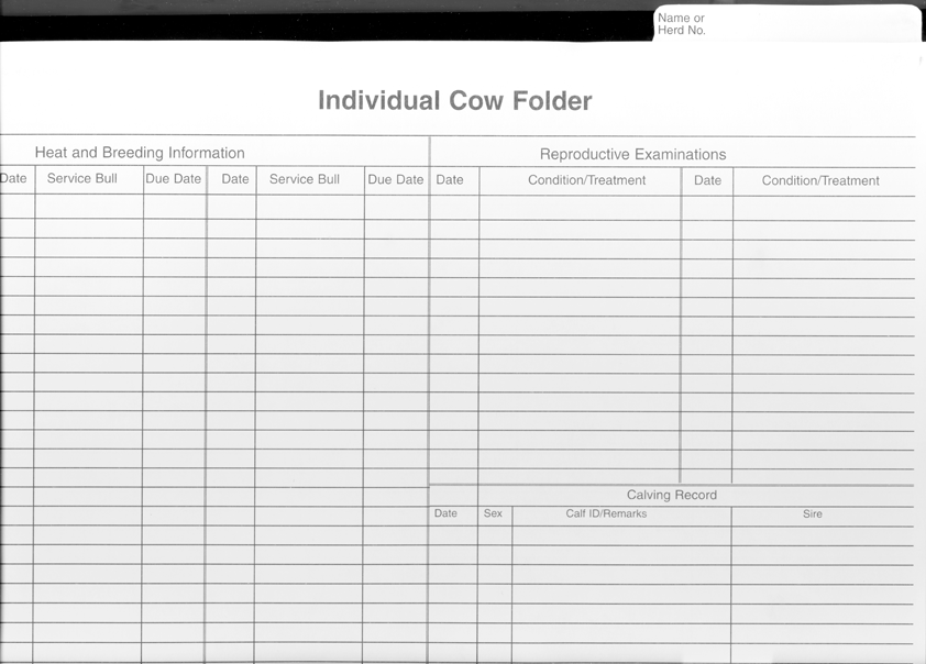Cow Record Folders (INCO)