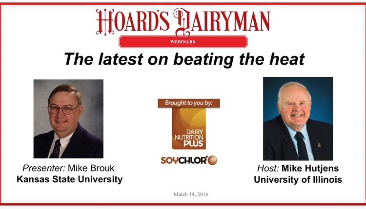 Brouk-ss-mar16 Brouk-ss-mar16