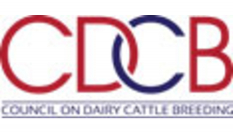 CDCB Logo