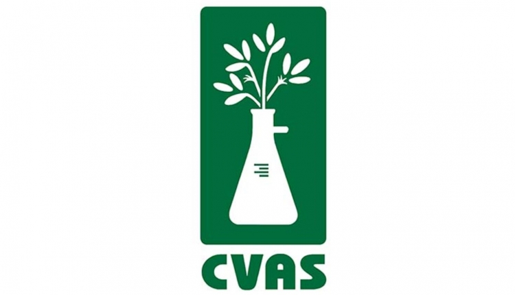 CVAS CVAS