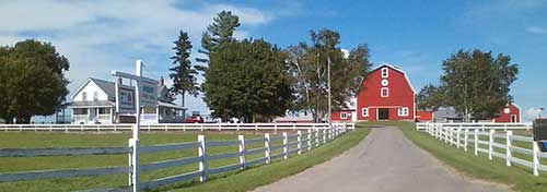 Dairy of Distinction