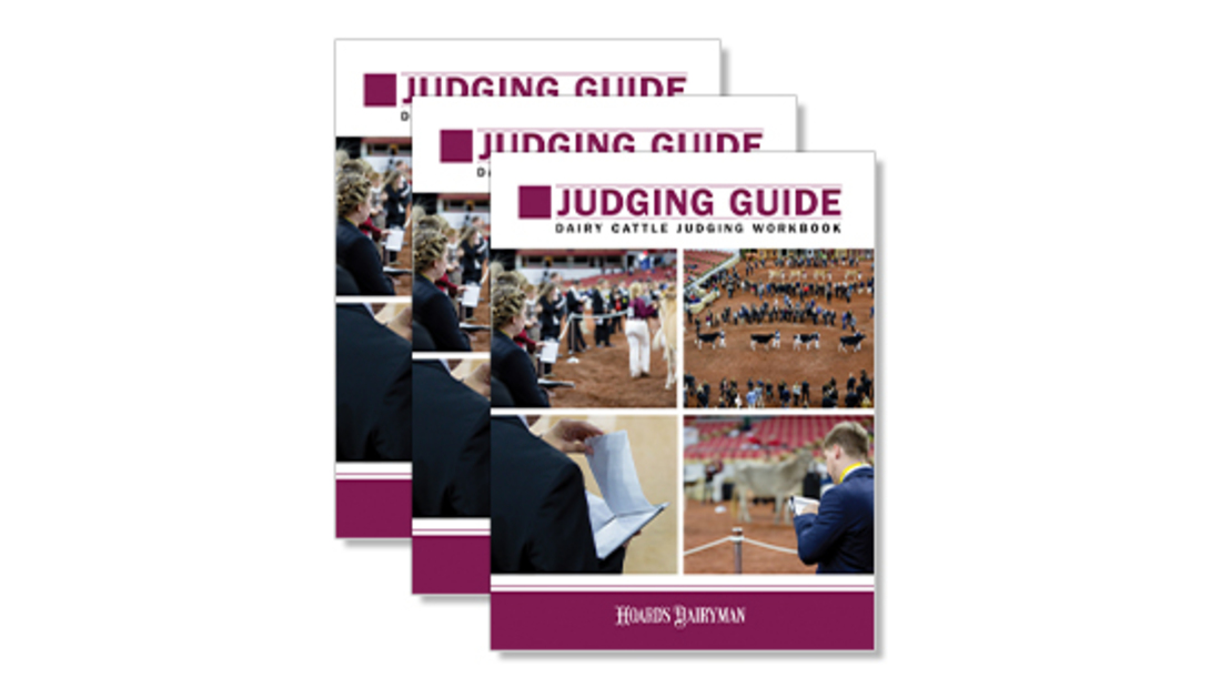 JUDG-18_bundle_web JUDG-18_bundle_web