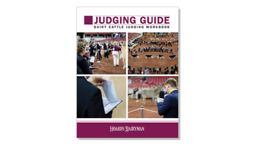 JUDG-18_web JUDG-18_web