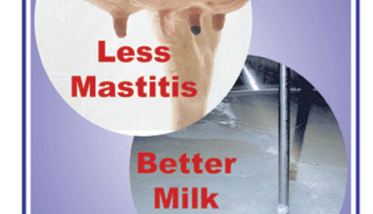 Less Mastitis Better Milk