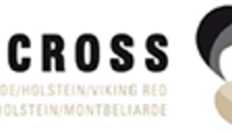 ProCROSS logo