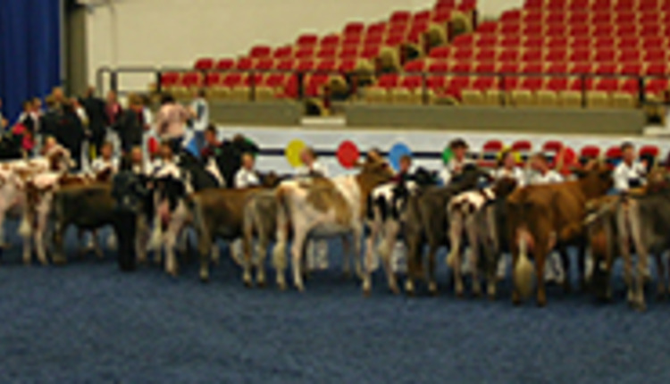 showmanship lineup