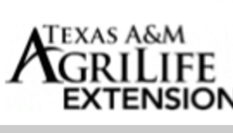 Texas-A&M.gif Texas-A&M.gif