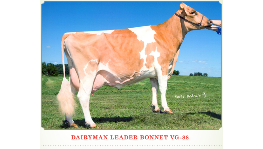Dairyman Leader Bonnet