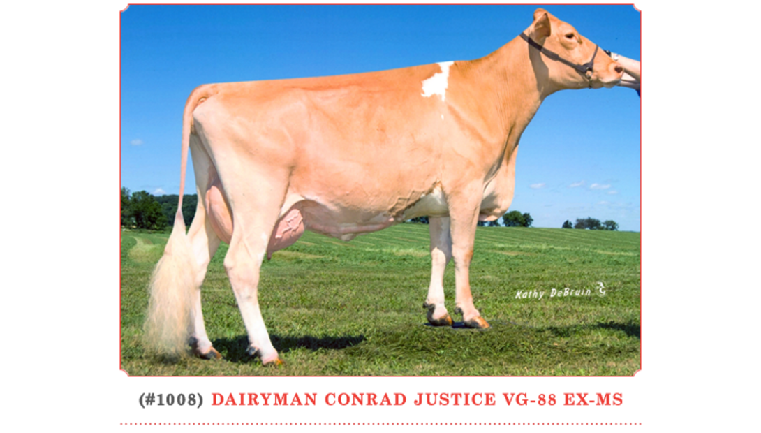 Dairyman Conrad Justice