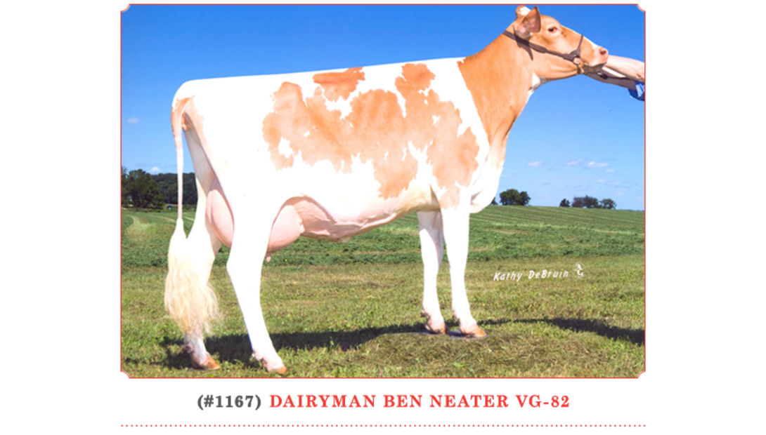 Dairyman Ben Neater