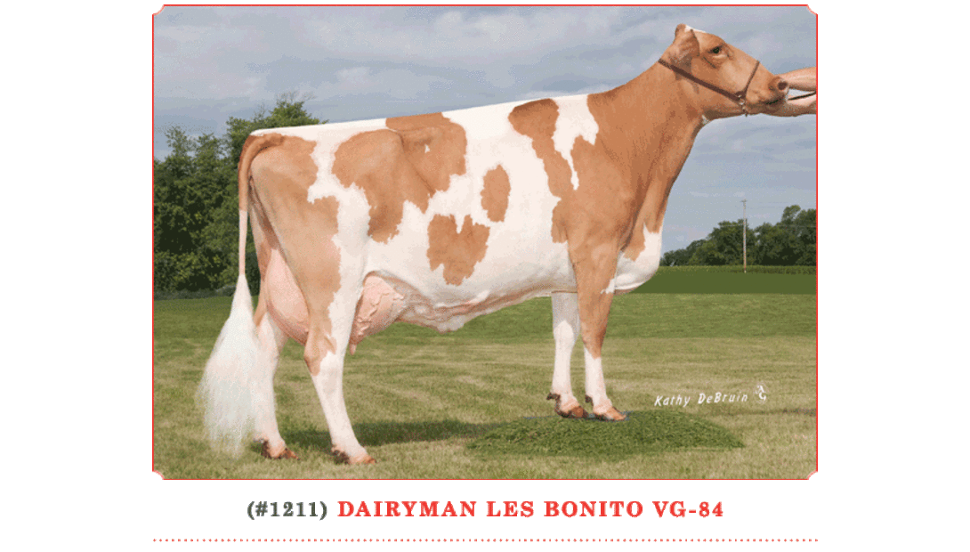 Dairyman Les Bonito