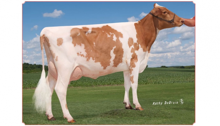 Dairyman Garrett 2134