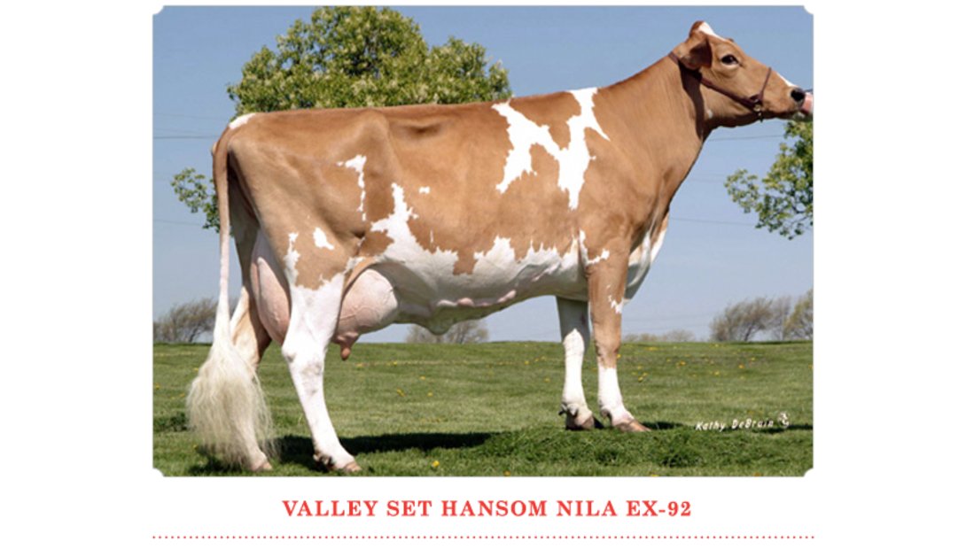 Valley Set Hansom Nila