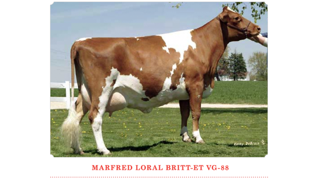Marfred Loral Britt