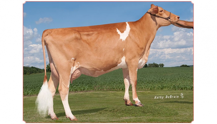 Dairyman Lightning Lysle-Tw