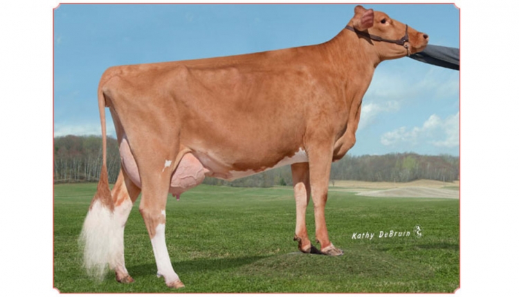 Dairyman Cordell Phanny