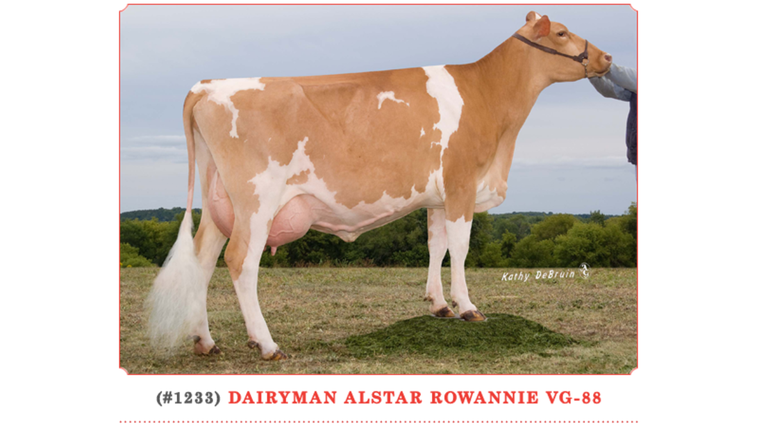 Dairyman Alstar Rowannie