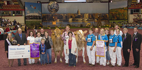 2011 Guernsey Grand Champion