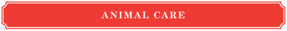 animal care and health