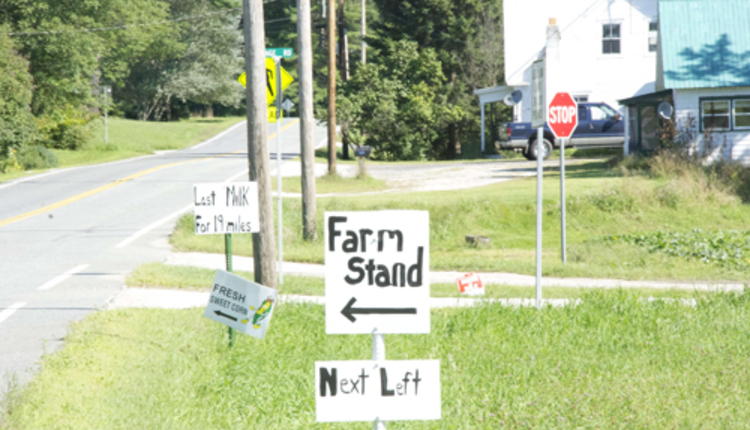 Home-made signs in rural area promoting Last stop for milk for 19 miles